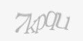 Защитный код