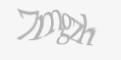 Защитный код