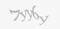 Защитный код