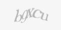 Защитный код