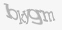 Защитный код