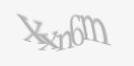 Защитный код