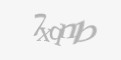 Защитный код