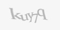 Защитный код