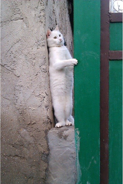 5 27