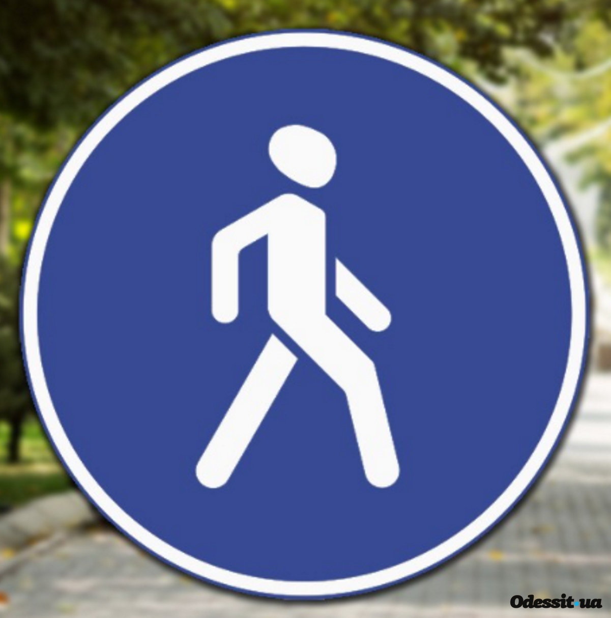 Дорожные знаки круглый синий. Пешеходные знаки. Пешеходная дорожка. Знак пешеходная дорожка. Знаки для пешеходов.